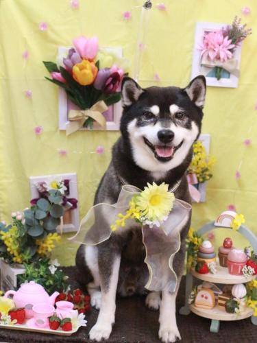 20230302タロくん